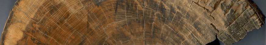 A selection of images related to dendrochronology (tree-ring dating)